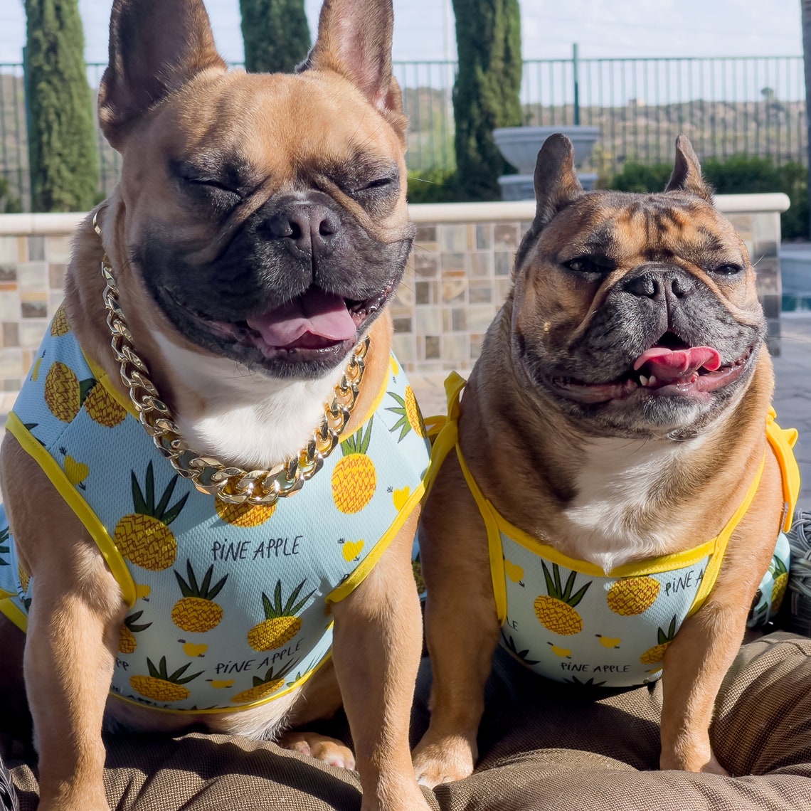 Luxus Ananas Hund Tank für Französisch Bulldogs von Bek &amp; Co Etsy