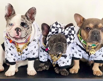 louis vuitton dog jacket