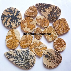 May include: Assortment of 12 Dendritic Agate cabochons in various shapes and sizes. The cabochons feature a natural pattern of black and brown dendrites on a beige background.