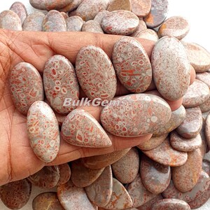 American Fruit Jasper Cabochon Lot - Loose Flat Back Cabs