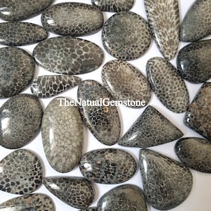 Snake Fossil Coral ! Wholesale lot of Snake Fossil Coral Cabochon - Loose Snake Fossil Coral Cabs - Fossil Crystal Stone  For Making Jewelry