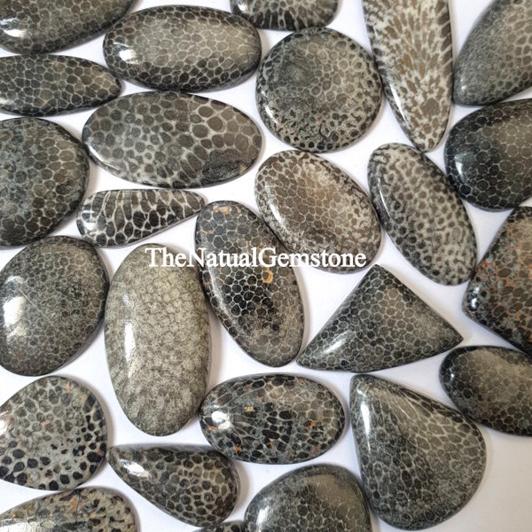 Snake Fossil Coral ! Wholesale lot of Snake Fossil Coral Cabochon - Loose Snake Fossil Coral Cabs - Fossil Crystal Stone  For Making Jewelry