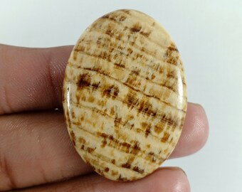 Puede incluir: Un cabujón redondo de ágata pulido, de color marrón claro y marrón oscuro, con un patrón rayado.