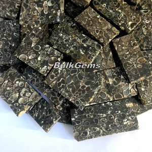 Turritella Agate Slab Lot, Großhandelspartie von Turritella Achat Platten zur Herstellung von Schmuck und Dingen