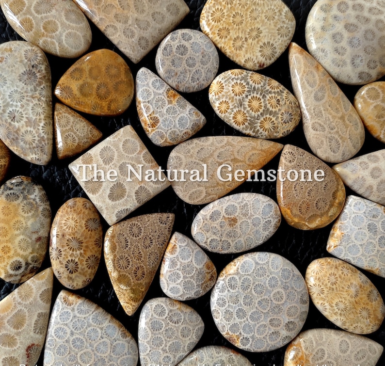 Fossil coral stone Wholesale Fossil coral Cabochon Lot Fossil coral Cabs Lot Fossil coral stone For Making Jewelry/Necklace/Ring image 2