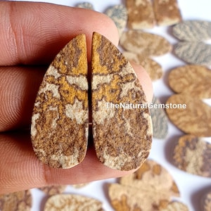 Psilomelane Dendrite !  Psilomelane Dendrite Matching Pair Lot - Wholesale Lot of  Psilomelane Dendrite Pair for Earring jewelry Making