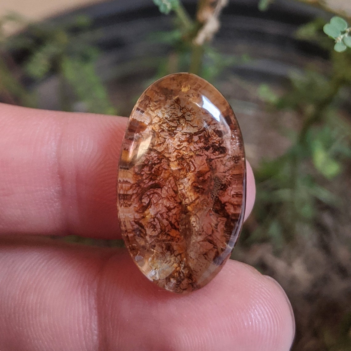 Alluring Lodolite crystal Garden quartz lens quartz shaman Etsy