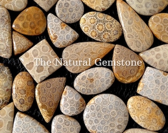 Fossil coral stone! Wholesale Fossil coral Cabochon Lot - Fossil coral Cabs Lot - Fossil coral stone For Making Jewelry/Necklace/Ring