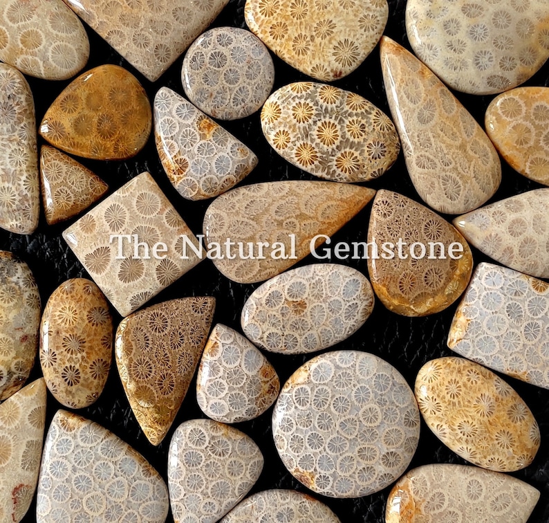 Fossil coral stone Wholesale Fossil coral Cabochon Lot Fossil coral Cabs Lot Fossil coral stone For Making Jewelry/Necklace/Ring image 1