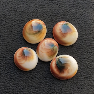 Shiva ögonskal cabochoner – naturlig ädelsten för halsbandstillverkning (20-30 mm)