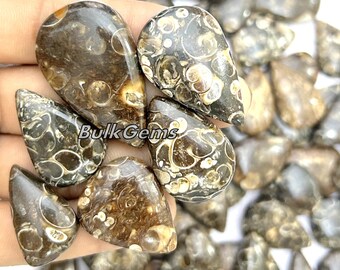 Turritella Agate Fossil Pears Lot – Handmade Polished Gemstones