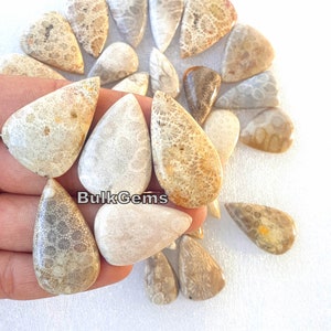 Fossil coral Pear stone! Wholesale Fossil coral Pear Cabochon Lot - Fossil coral Lot - Fossil coral stone For Making Jewelry/Necklace/Ring