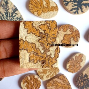 May include: A collection of natural dendrite agate stones in various shapes and sizes. The stones have a light brown background with intricate brown dendrite patterns. The stones are arranged on a white surface. TheNaturalGemstone is printed on one of the stones.