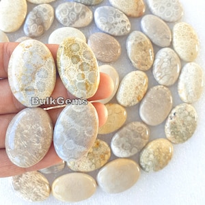 Fossil Coral Oval stone! Wholesale Fossil coral Cabochon Lot - Fossil coral Cabs Lot - Fossil coral stone For Making Jewelry/Necklace/Ring