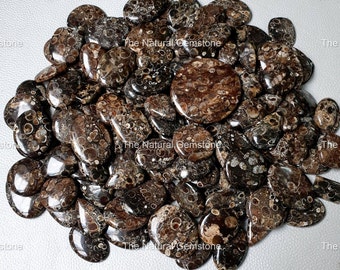 Natural Turritella Agate Fossil Cabochon, Handmade Gemstone
