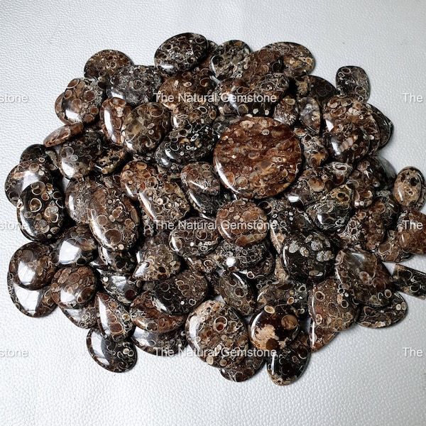 Natural Turritella Agate Fossil Cabochon, Natural Turritella Agate stone, Hand Made Cabs, Wholesale Turritella Agate Gemstone For Jewelry