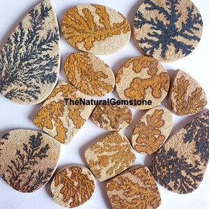 May include: Assortment of 12 natural dendritic agate cabochons in various shapes and sizes. The cabochons feature a unique pattern of black and brown dendrites on a beige background. TheNaturalGemstone is printed on the image.