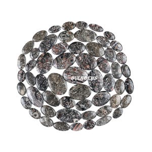 Lote de gemas fósiles de crinoideos naturales, talla ovalada para joyería