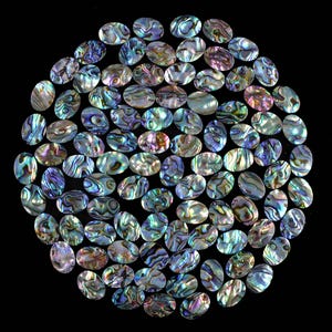 May include: A collection of oval-shaped abalone shell cabochons, arranged in a circular pattern against a black background. The shells display iridescent colors of blue, green, purple, and gold, with unique swirling patterns.