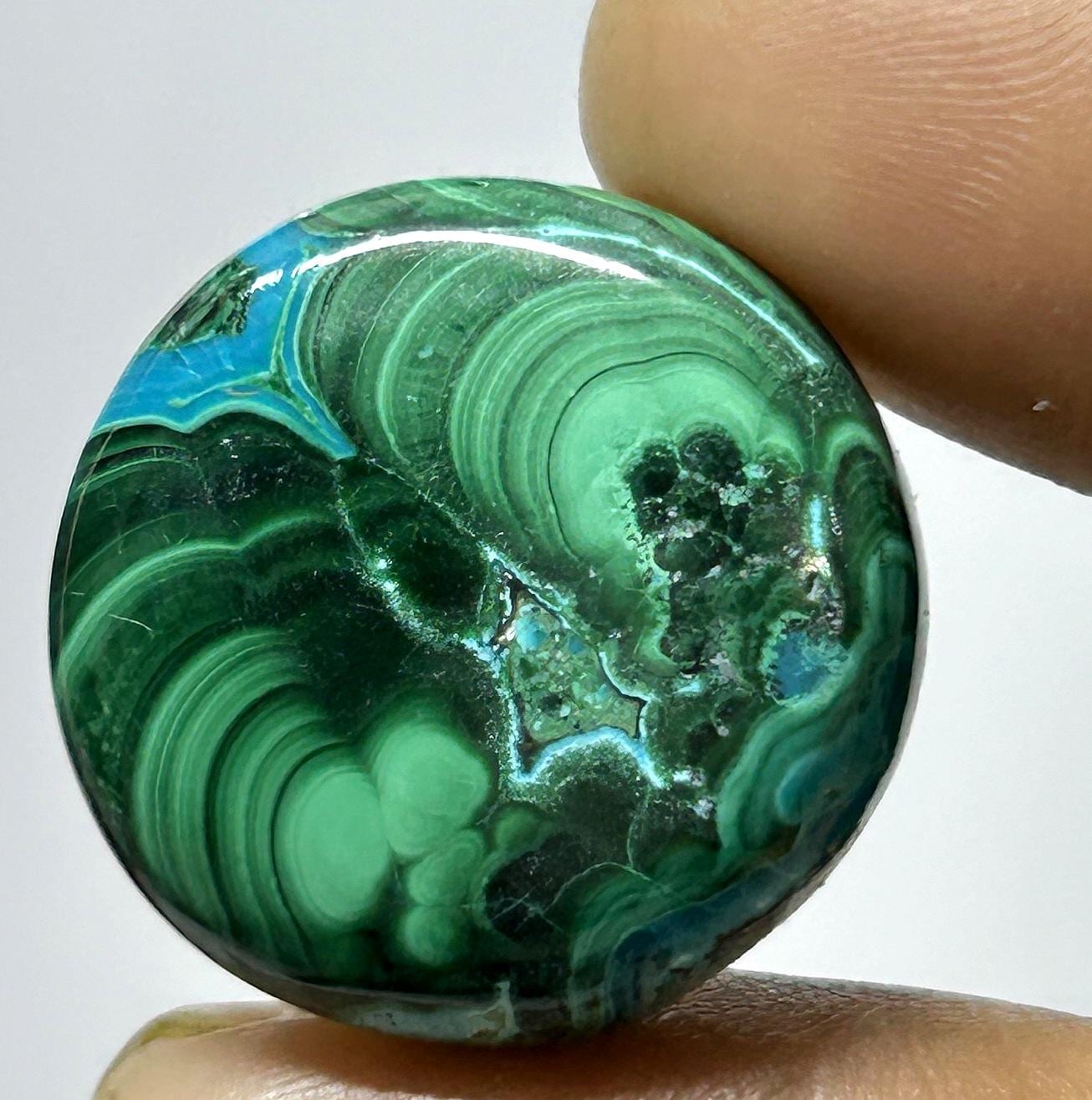 マラカイト/クリソコラ混合石　ハーフカット マラカイト with クリソコラ（マラコラ） 原石02◇ Malachite with