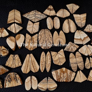 Picture Jasper Pair! Wholesale Picture Jasper Pair Cabochon Lot - Matching Pair - Picture Jasper Pair Cab For Making Earring Jewelry