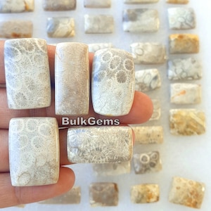 Fossil Coral Rectangle stone! Wholesale Fossil coral Cabochon Lot - Fossil coral Lot - Fossil coral stone For Making Jewelry/Necklace/Ring