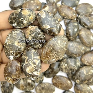 Turritella Agate Ovals Lot ! Wholesale Turritella Agate Fossil lot - loose polish Turritella Agate Oval Shape for making jewelry and things.