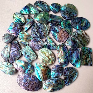 Abalone Shell - Wholesale lot of Abalone Shell Cabs - polished beautiful Shell - bulk Abalone Stuff - for Making Jewelry Necklace/ring