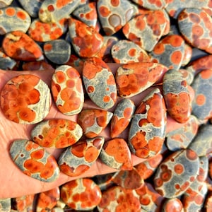 Peanut Obsidian Lot - Wholesale Peanut Obsidian Mix shapes lot for making jewellry and things.