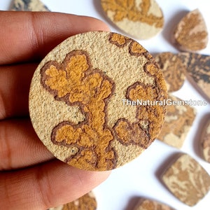 May include: A round, beige and brown stone with a unique, organic pattern. The stone has a rough, textured surface and is approximately 2 inches in diameter.