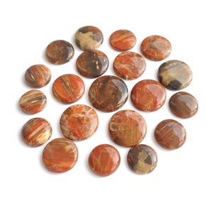 Petrified wood stone! Wholesale Lot of  Loose Petrified wood round - Bulk Pack Petrified wood round  - For Making Jewelry