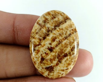 Puede incluir: Una piedra preciosa cabujón ovalada lisa con un patrón marrón y crema. La piedra tiene una superficie pulida y un aspecto natural y orgánico.