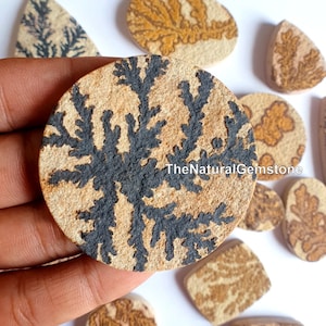 May include: A round, beige stone with a black dendritic pattern. The stone has a rough, textured surface. TheNaturalGemstone is printed on the stone.