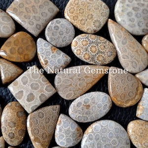 Fossil coral stone Wholesale Fossil coral Cabochon Lot Fossil coral Cabs Lot Fossil coral stone For Making Jewelry/Necklace/Ring image 4