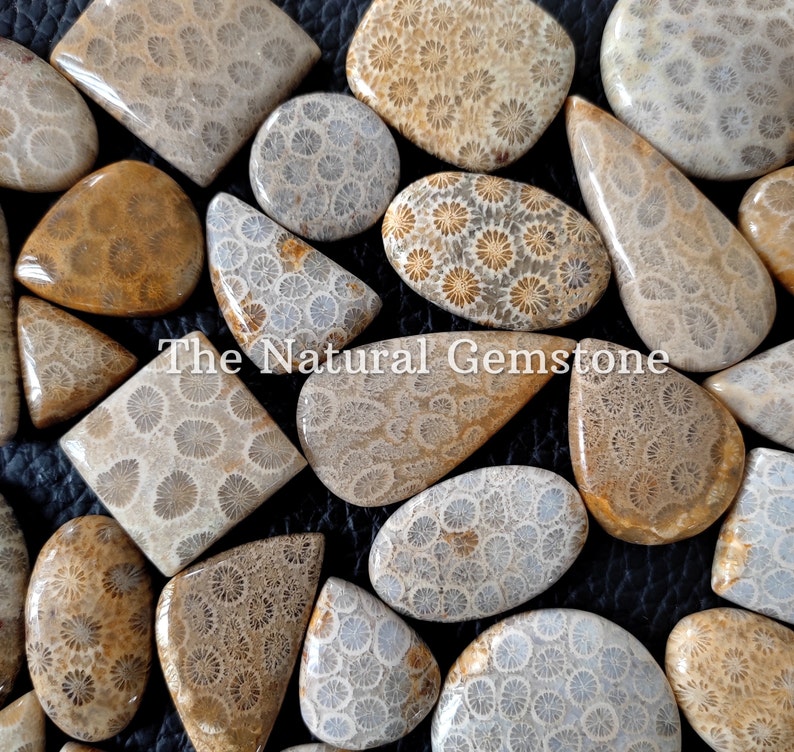 Fossil coral stone Wholesale Fossil coral Cabochon Lot Fossil coral Cabs Lot Fossil coral stone For Making Jewelry/Necklace/Ring image 4