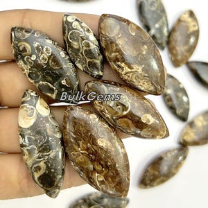 Turritella Agate Marquise Lot ! Wholesale Turritella Agate Fossil lot - loose polish Turritella Agate Marquise Shape for making jewelry.