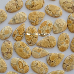 May include: A collection of 20 natural, polished, teardrop-shaped, brown and white jasper cabochons. The jasper has a unique, swirling pattern.
