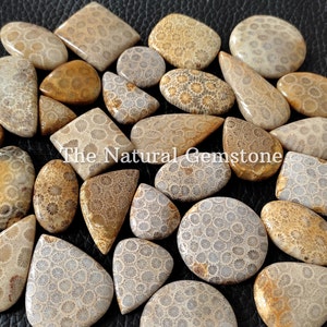 Fossil coral stone Wholesale Fossil coral Cabochon Lot Fossil coral Cabs Lot Fossil coral stone For Making Jewelry/Necklace/Ring image 3
