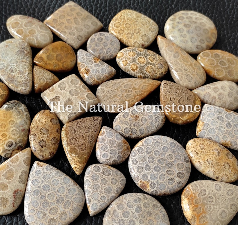 Fossil coral stone Wholesale Fossil coral Cabochon Lot Fossil coral Cabs Lot Fossil coral stone For Making Jewelry/Necklace/Ring image 3