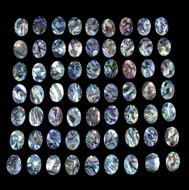 Abalone Shell Gemstone - Wholesale Price of Calibrated Gemstone - for ...