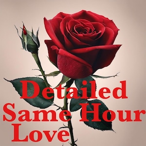 May include: A close-up of a deep red rose with a green bud and leaves, set against a beige backdrop. The words "Detailed Same Hour Love" are written in red across the image.