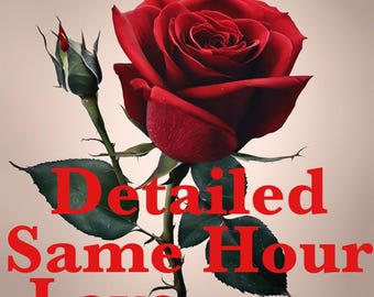 07/03 OPEN Same Hour Detailed Psychic Love Reading