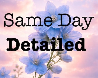 07/03 OPEN Same Day Detailed Psychic reading