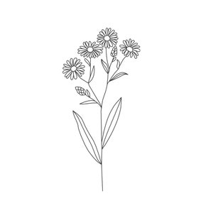 Diseño de bordado de aster: archivo de bordado de flor de nacimiento de septiembre (descarga digital)