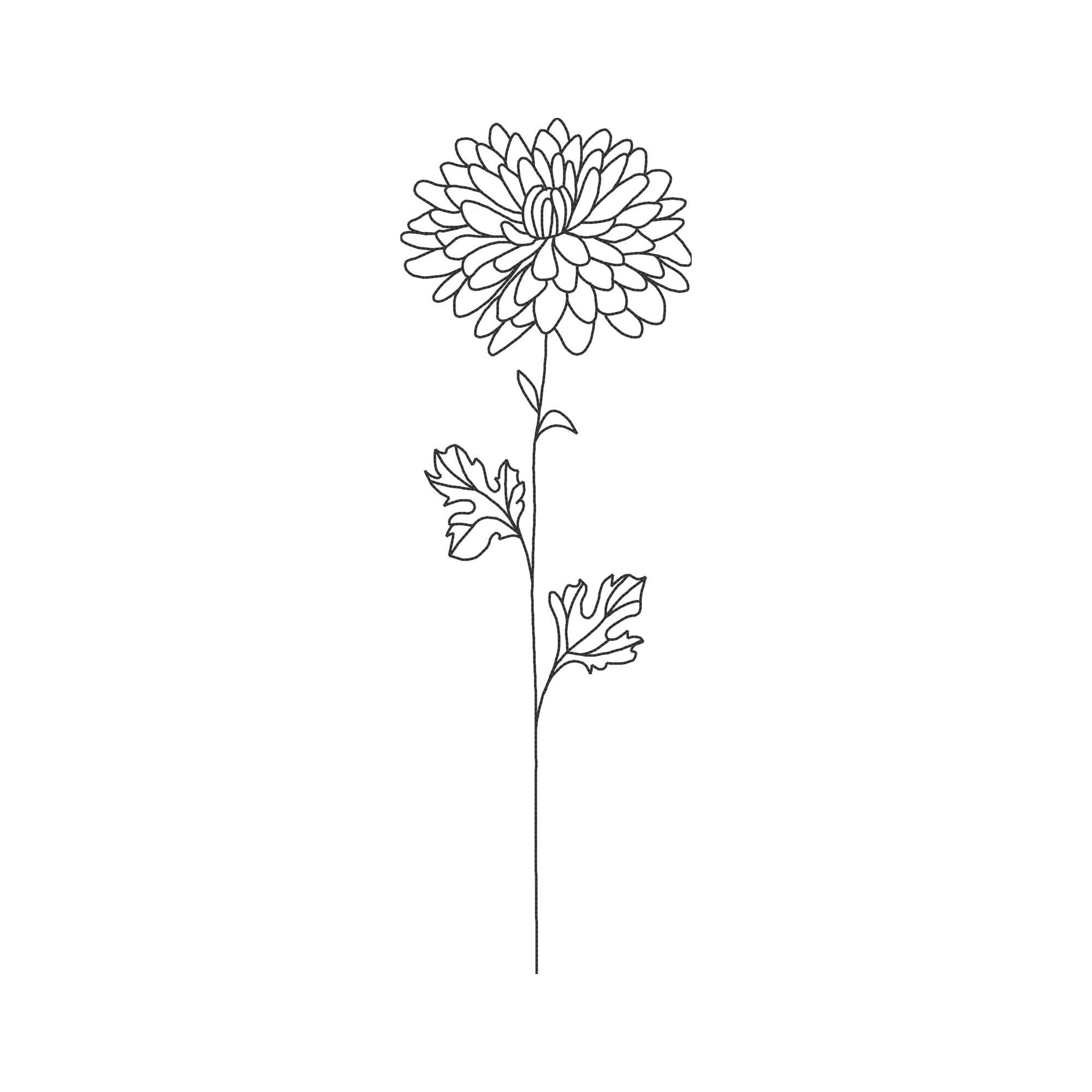 Premium Vector  Chrysanthemum by hand drawing floral tattoo highly  detailed in line art style