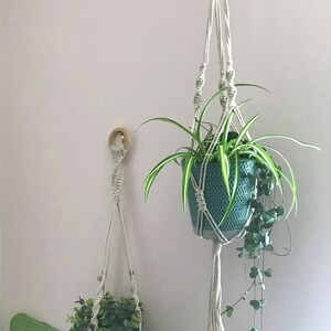 May include: Two macrame plant hangers made of off-white cord, each featuring a wooden ring at the top. One hanger holds a teal textured pot with a spider plant, and the other holds a white ribbed pot containing a small green leafy plant.
