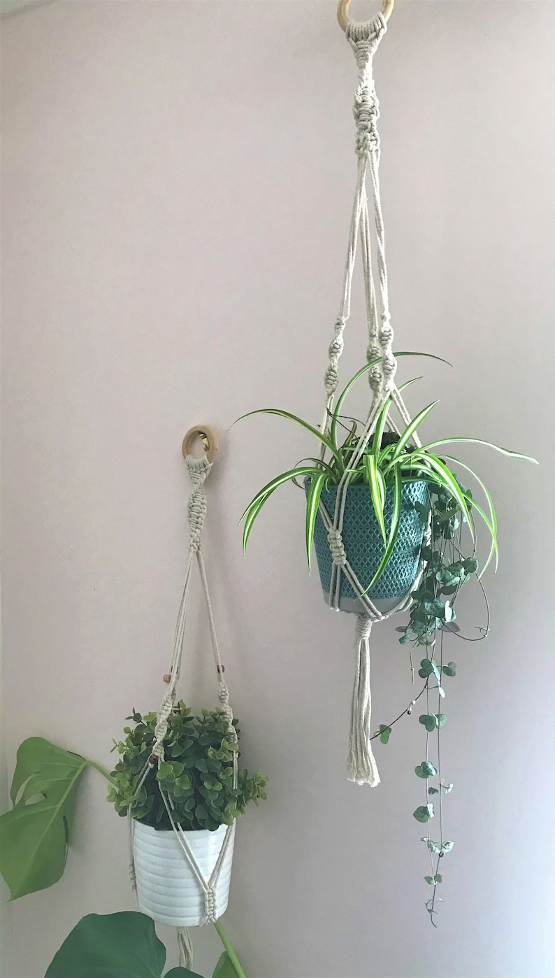 May include: Two macrame plant hangers made of off-white cord, each featuring a wooden ring at the top. One hanger holds a teal textured pot with a spider plant, and the other holds a white ribbed pot containing a small green leafy plant.