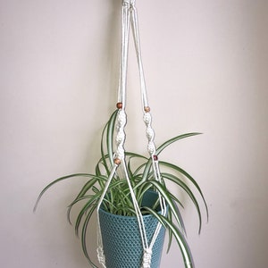May include: A cream-colored macrame plant hanger featuring intricate knotted patterns and small, multi-colored decorative beads. It holds a teal-colored textured pot containing a spider plant with long, green and white striped leaves.