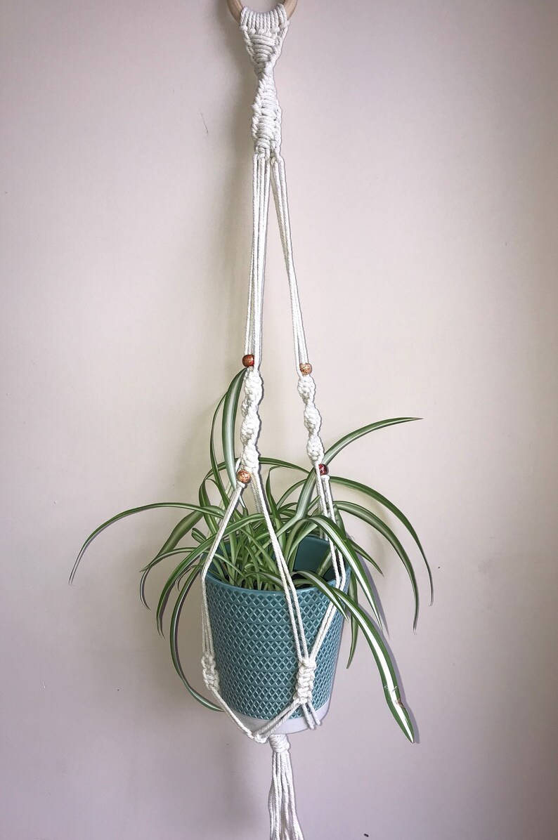 May include: A cream-colored macrame plant hanger featuring intricate knotted patterns and small, multi-colored decorative beads. It holds a teal-colored textured pot containing a spider plant with long, green and white striped leaves.