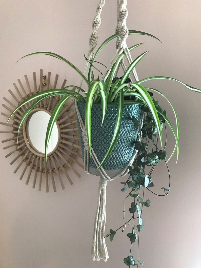 May include: A teal ceramic plant pot with a diamond-textured pattern held by a cream-colored macrame hanger. The pot contains a spider plant with long, green and white striped leaves and a trailing string of hearts plant with small leaves.